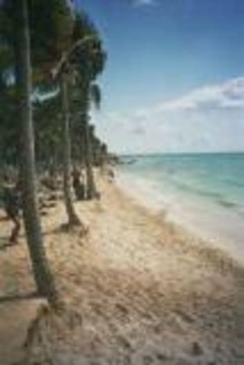 fehlender Strand  Hotel Riu Tequila