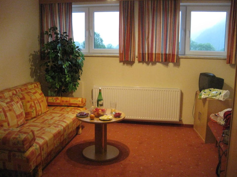 Номер Aparthotel Grüner Baum Vils