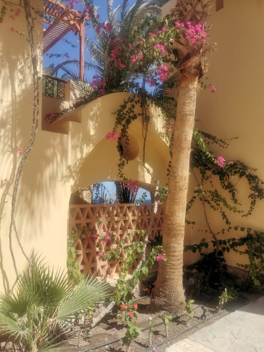 Außenansicht Steigenberger Coraya Beach - Adults only