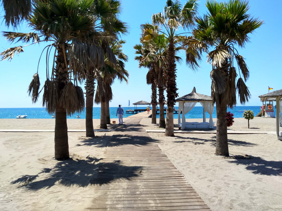 Strand ROBINSON NOBILIS