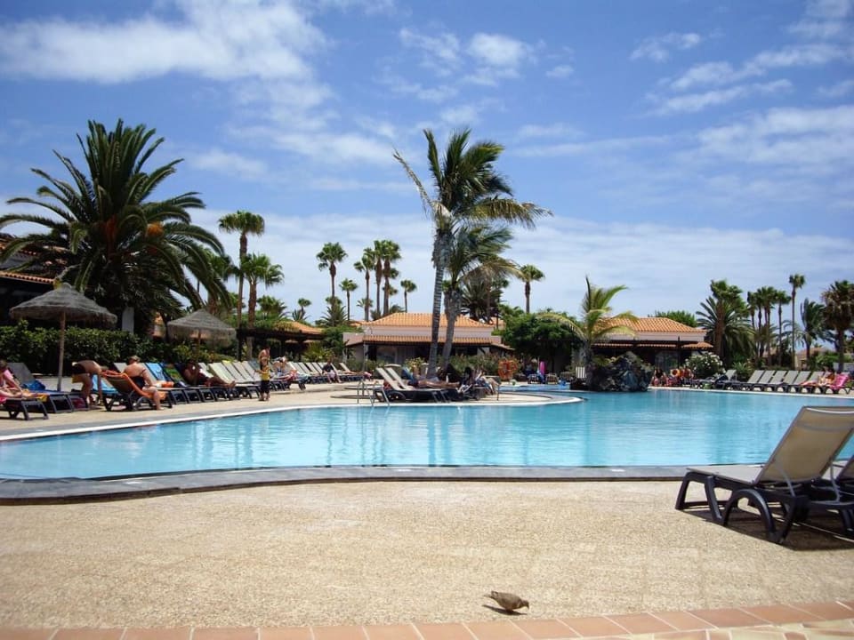 Ein ruhiger Pool Barceló Fuerteventura Castillo