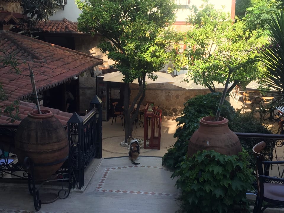 Blick von der kleinen Lobby Dogan Hotel by Prana Hotels & Resorts