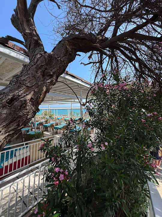Gartenanlage Can Garden Resort