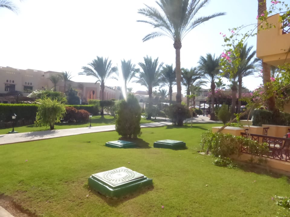 Gartenanlage Steigenberger Coraya Beach - Adults only