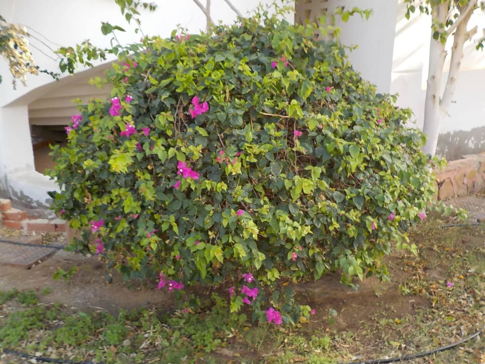 Riff Three Corners Equinox Beach Resort