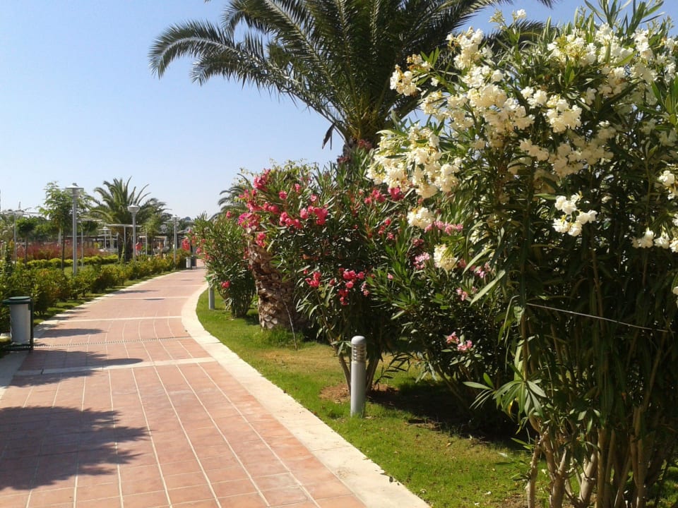 Ogród Venosa Beach Resort & Spa