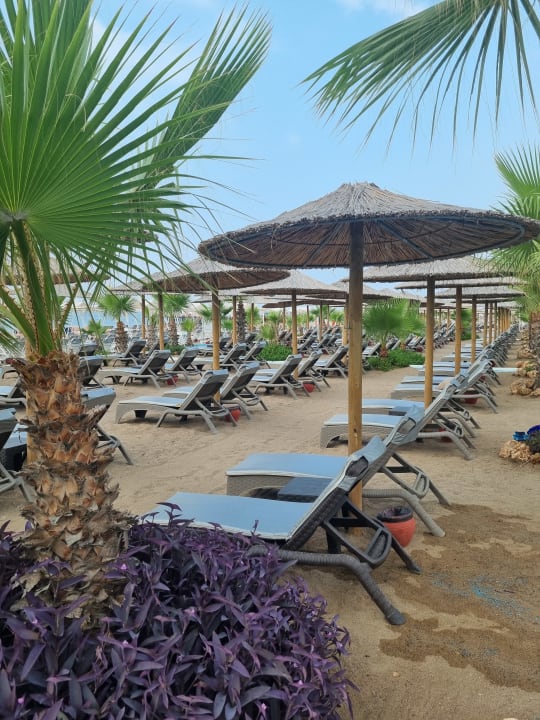 Strand Hotel Delphin Imperial