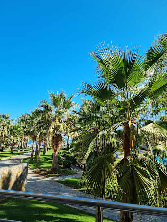 Gartenanlage Calimera Sirens Beach