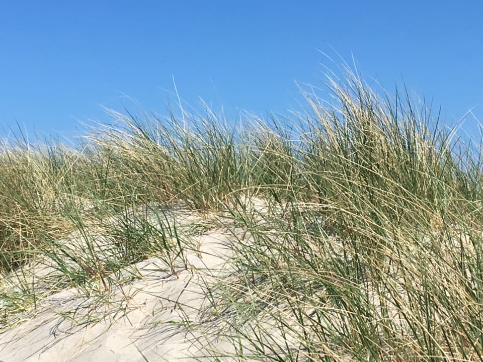 Strand Beach Motel Heiligenhafen