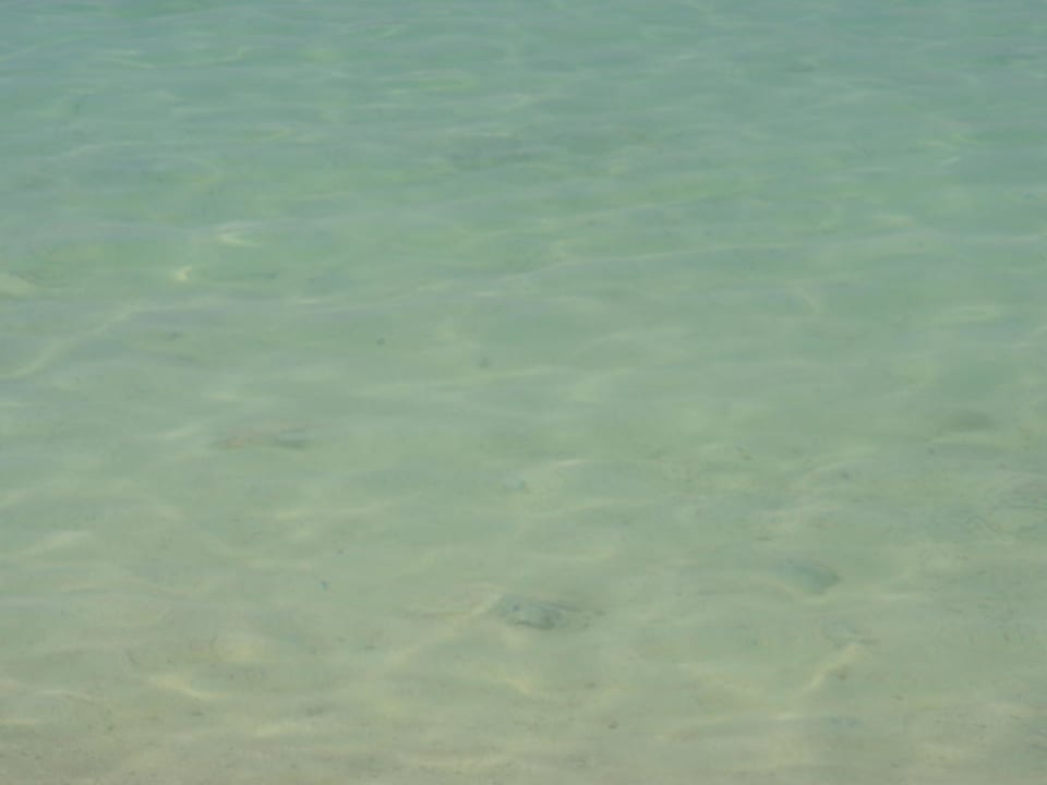 Schönes klares und sauberes Wasser. Villa Chiquita