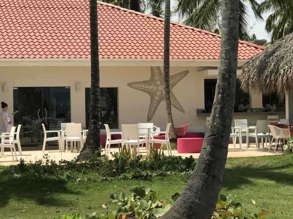 Gastro Wyndham Alltra Samana