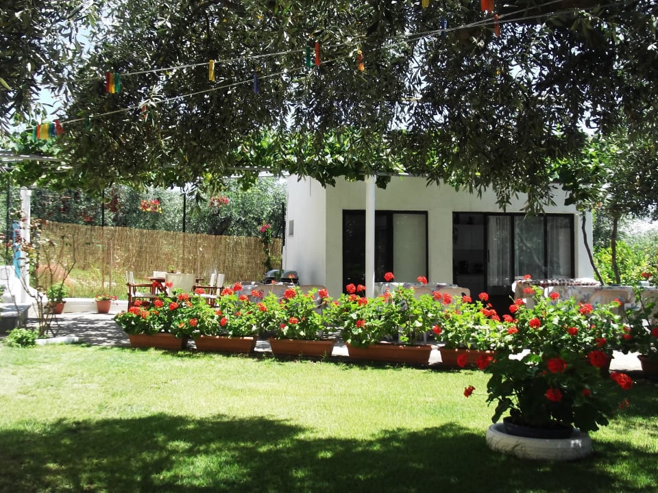 Garten und Küche Gorgona Rooms