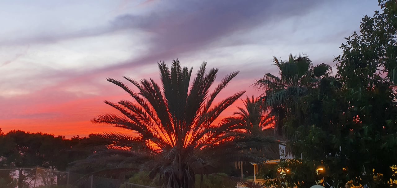 Ausblick Sun Club Eldorado