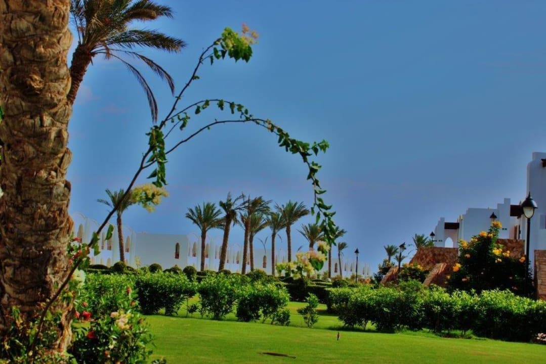 Park Hotel Gorgonia Beach Resort