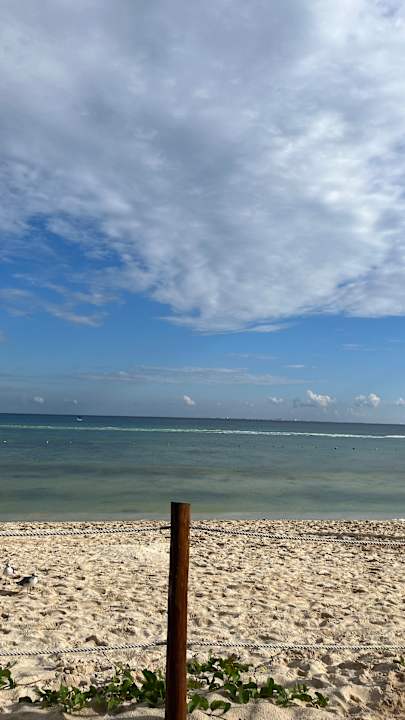 Strand Ocean Riviera Paradise