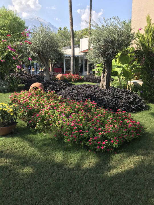 Gartenanlage Pirate's Beach Club