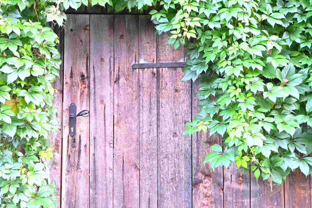 Gartenanlage Haus Marion