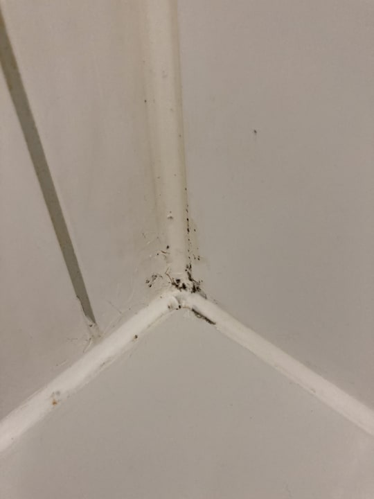 Zimmer AHORN Berghotel Friedrichroda