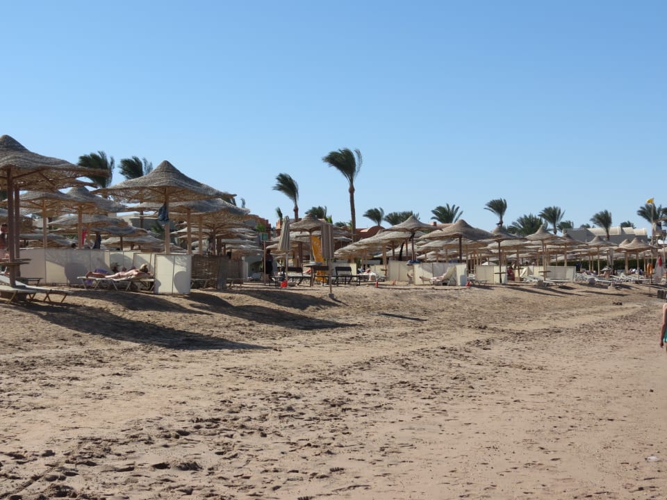 Strand Jaz Makadi Oasis Resort