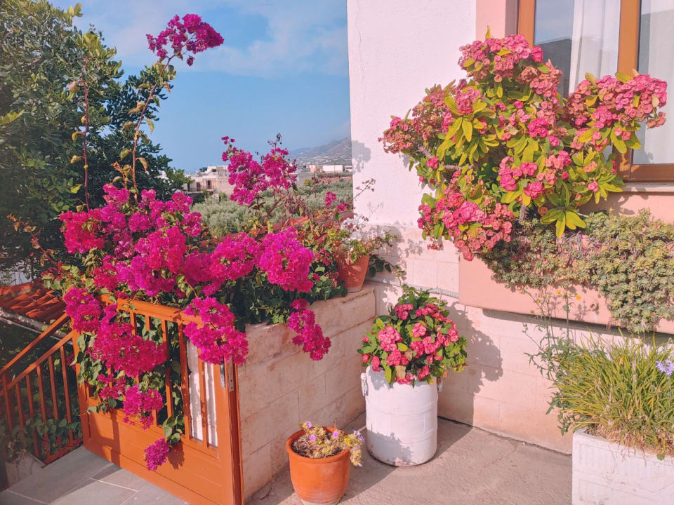 Außenansicht Hotel South Coast