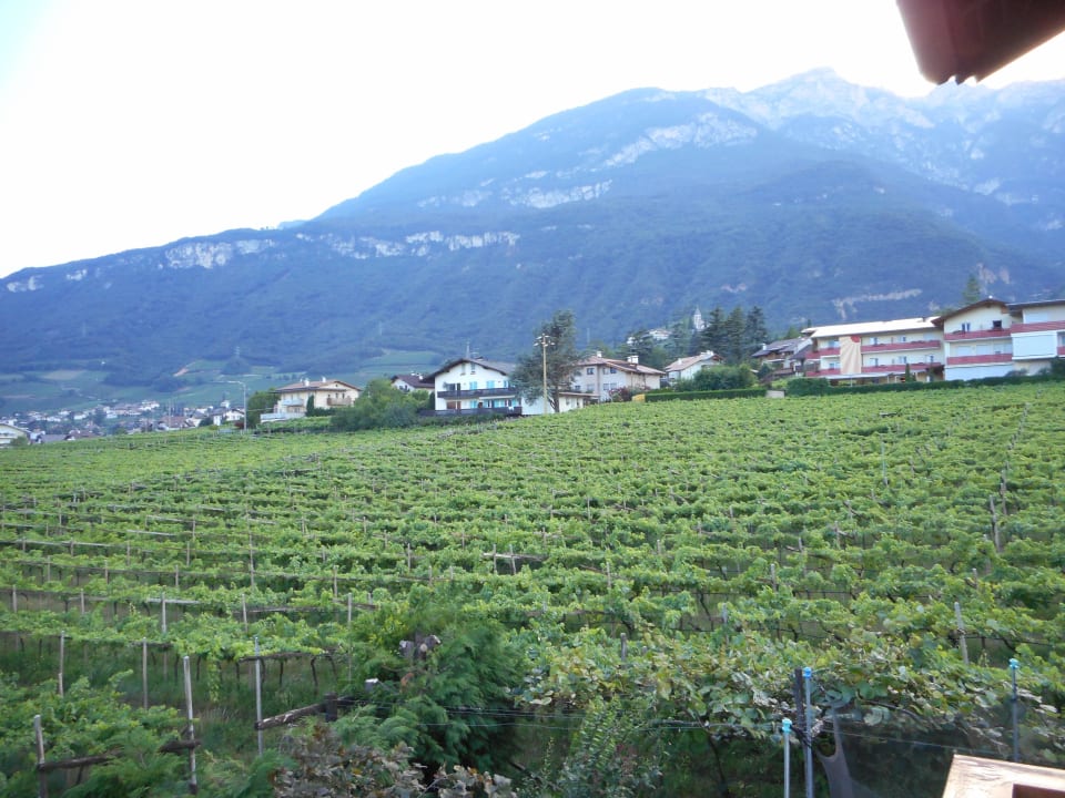 Blick vom Balkon Garni Sandhof