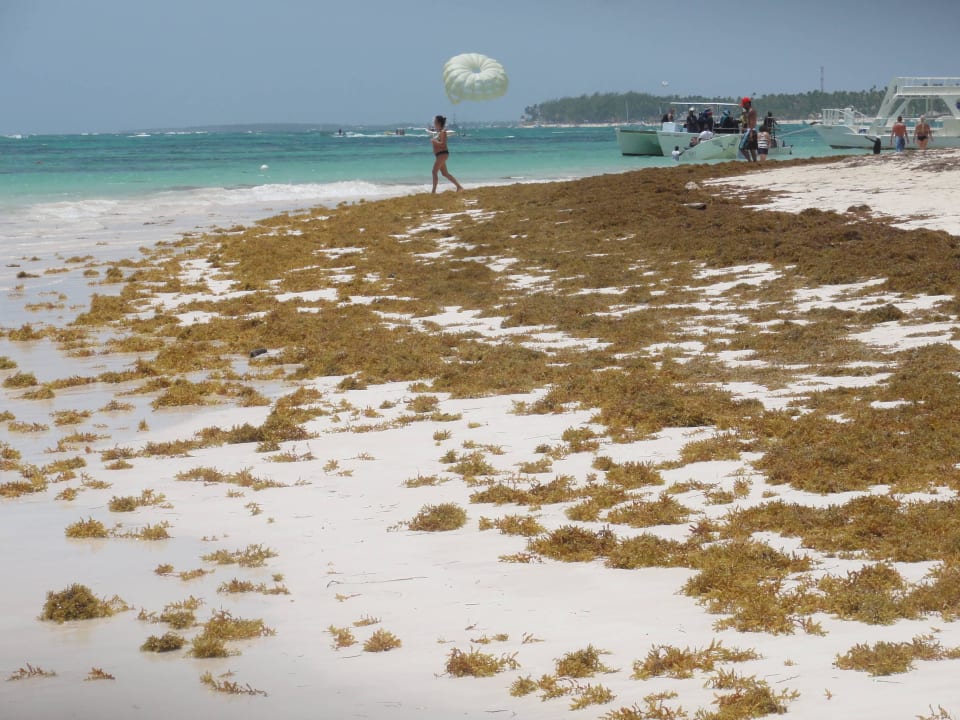 Ocean Blue & Sands Ocean Blue & Sand