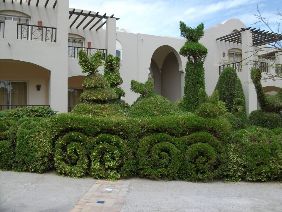 Motive an jeder Ecke Jaz Makadi Oasis Resort