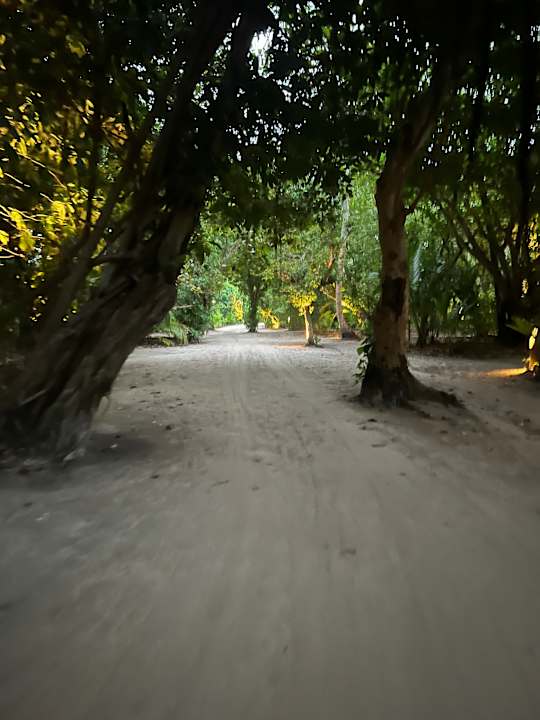 Gartenanlage Kuredu Island Resort & Spa