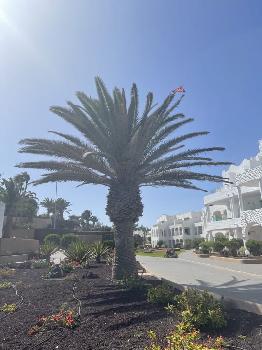 Außenansicht Sotavento Beach Club