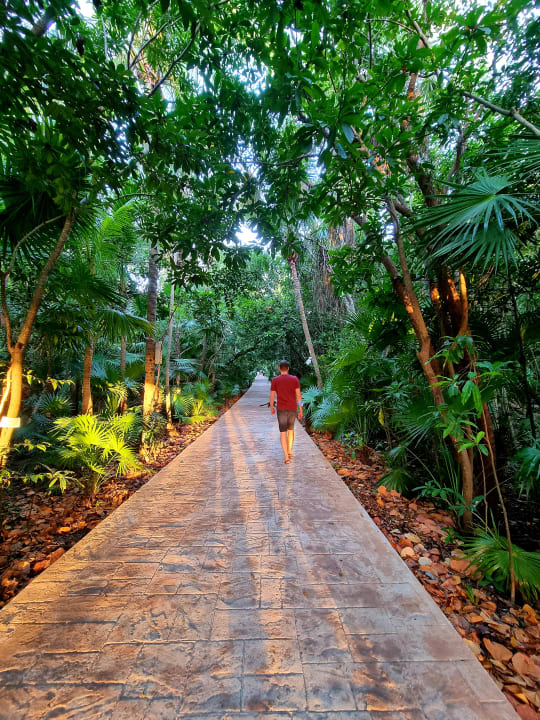 Gartenanlage Catalonia Playa Maroma