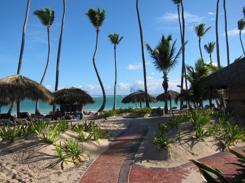 Hotel Grand Palladium Bavaro Resort & Spa Grand Palladium Select Bávaro Resort & Spa