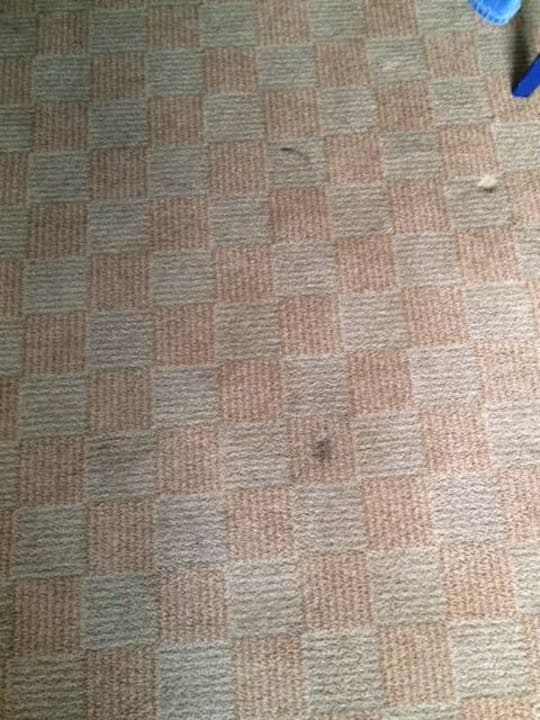 Flecken auf dem Teppich Fletcher Hotel-Restaurant Arnsberg-Sauerland