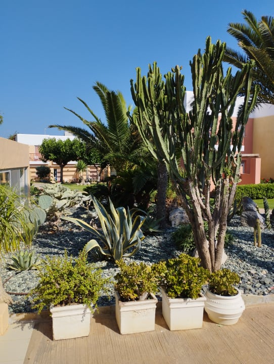 Gartenanlage Anissa Beach & Village