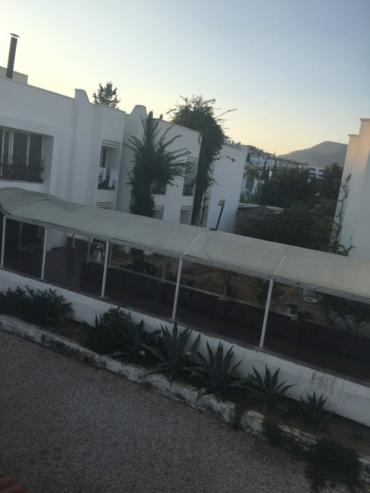 Ausblick Ladonia Hotels Delmare