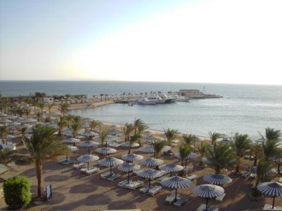 Strandblick vom Hotelzimmer Beach Albatros Resort