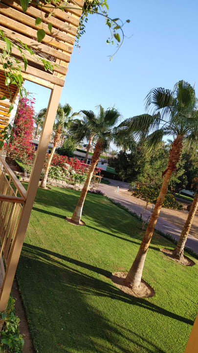 Ausblick Desert Rose