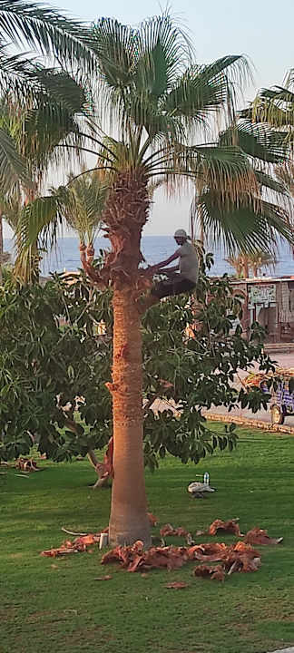 Außenansicht Three Corners Sea Beach Resort