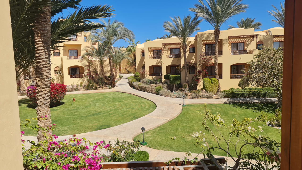 Ausblick Steigenberger Coraya Beach - Adults only