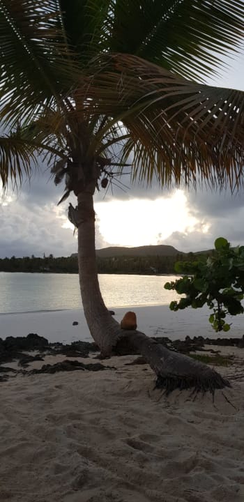 Strand Wyndham Alltra Samana