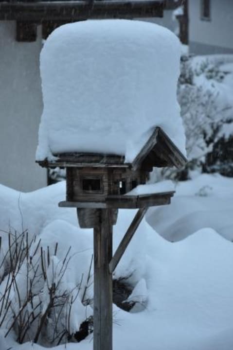 Alpbach Haus Sonnwend