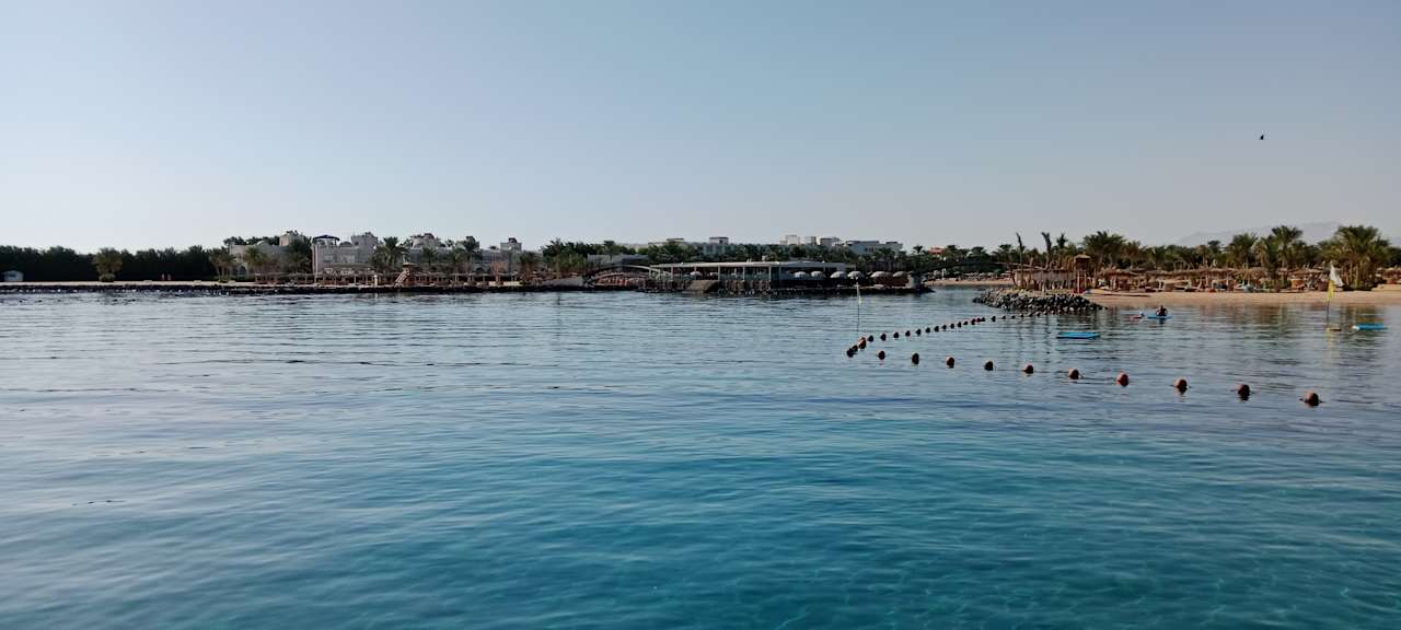 Sonstiges Desert Rose