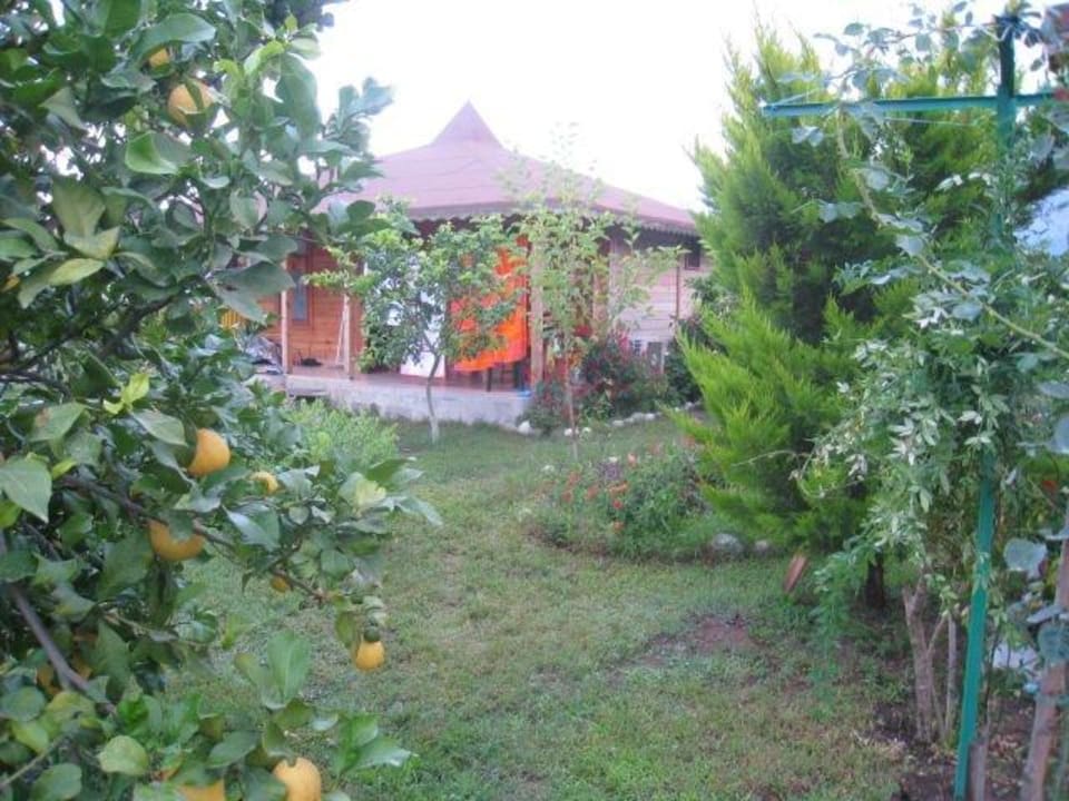 Cirali, ein Paradies auf Erden Almira Butik Hotel