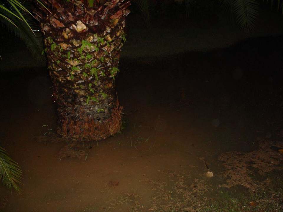 Überschwemmung in der Gartenanlage. Grand Palladium Select Bávaro Resort & Spa