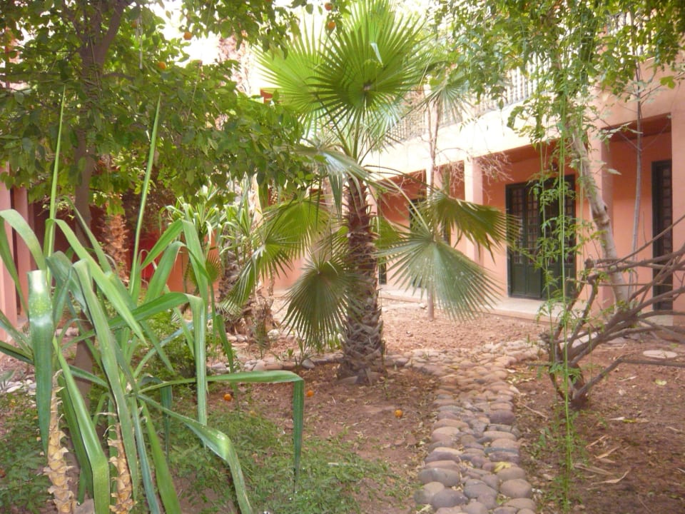 Wie im Botanischen Garten Hotel Ouarzazate Le Riad
