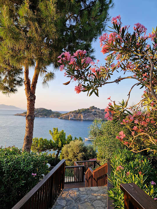 Gartenanlage TUI BLUE Seno - Adults Only