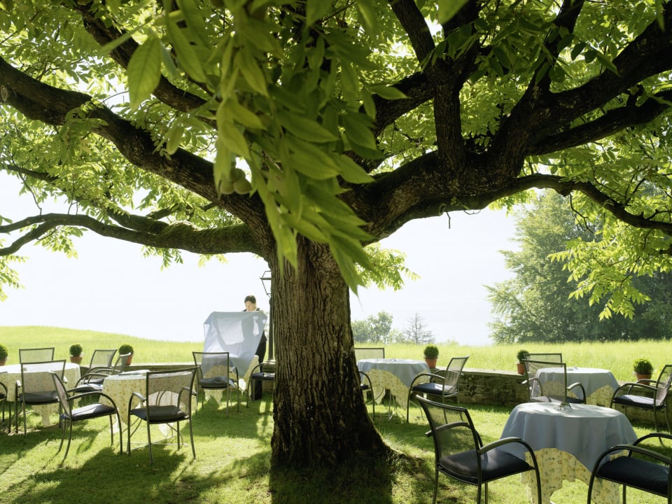 Gartenrestaurant Hotel Waldheim