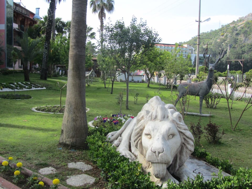 Hotel Sea Gull/Seagull Hotel Sea Gull/Seagull