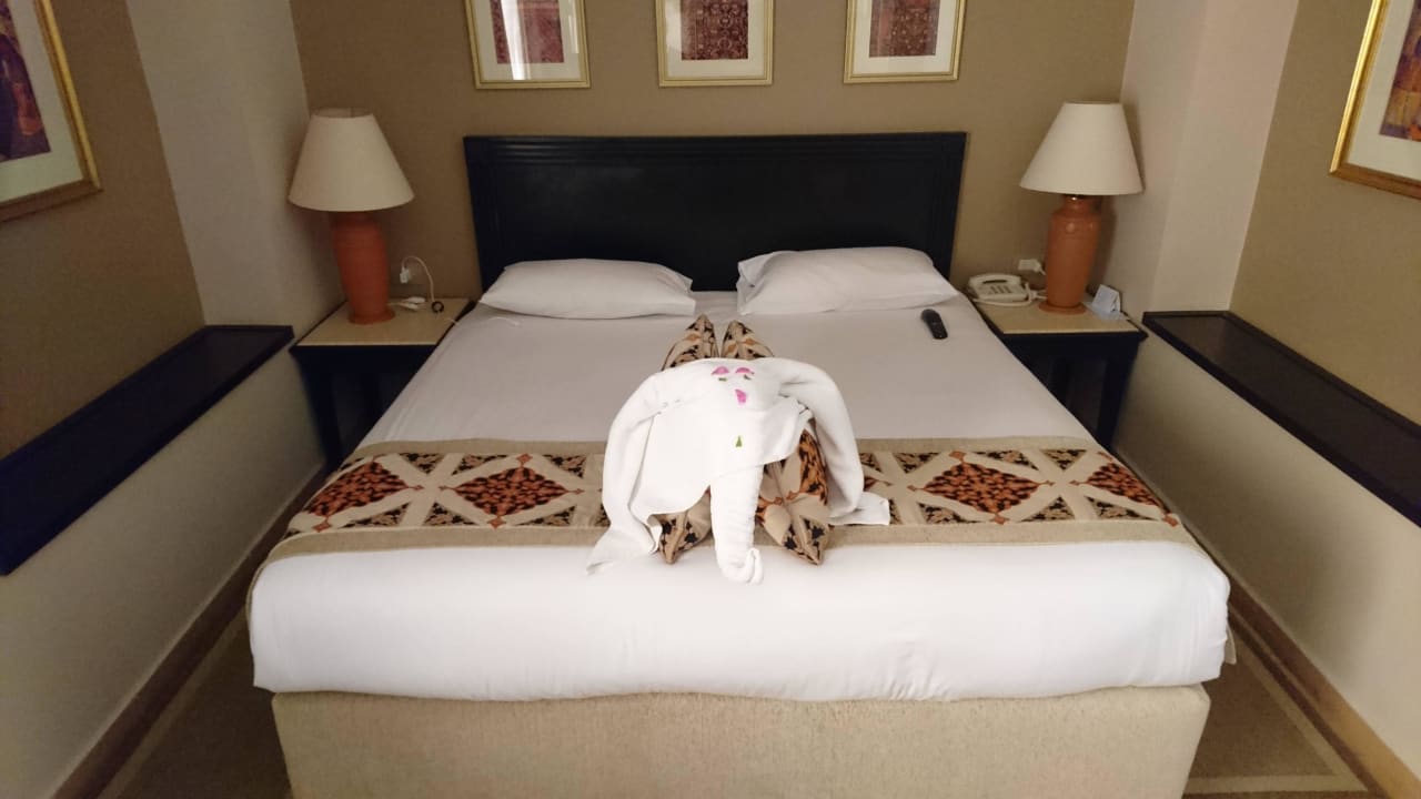 Mein Einzelzimmer Steigenberger Coraya Beach - Adults only