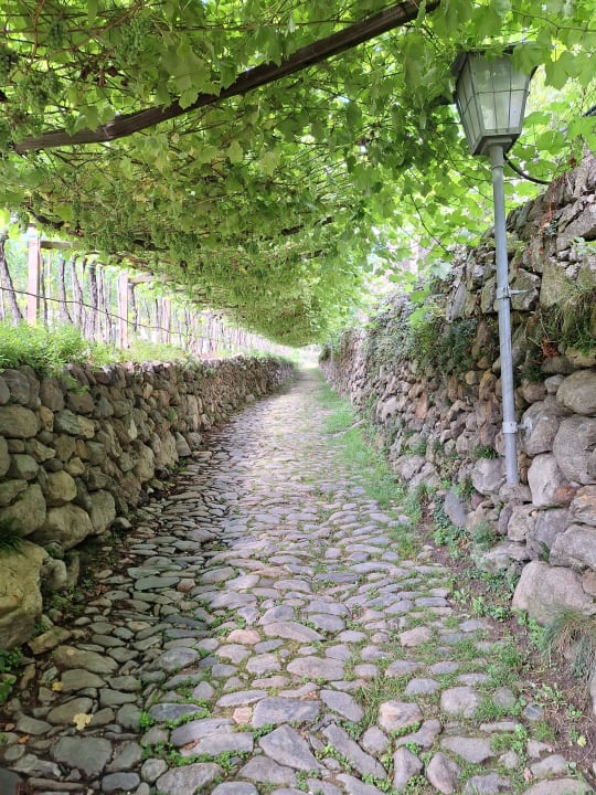 Gartenanlage Palmengarten Hotel Gstör