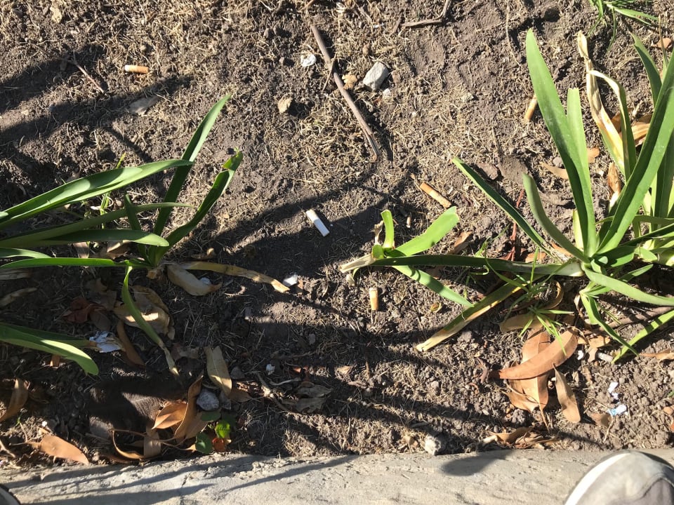 Gartenanlage Hotel Misty Mountain Reserve